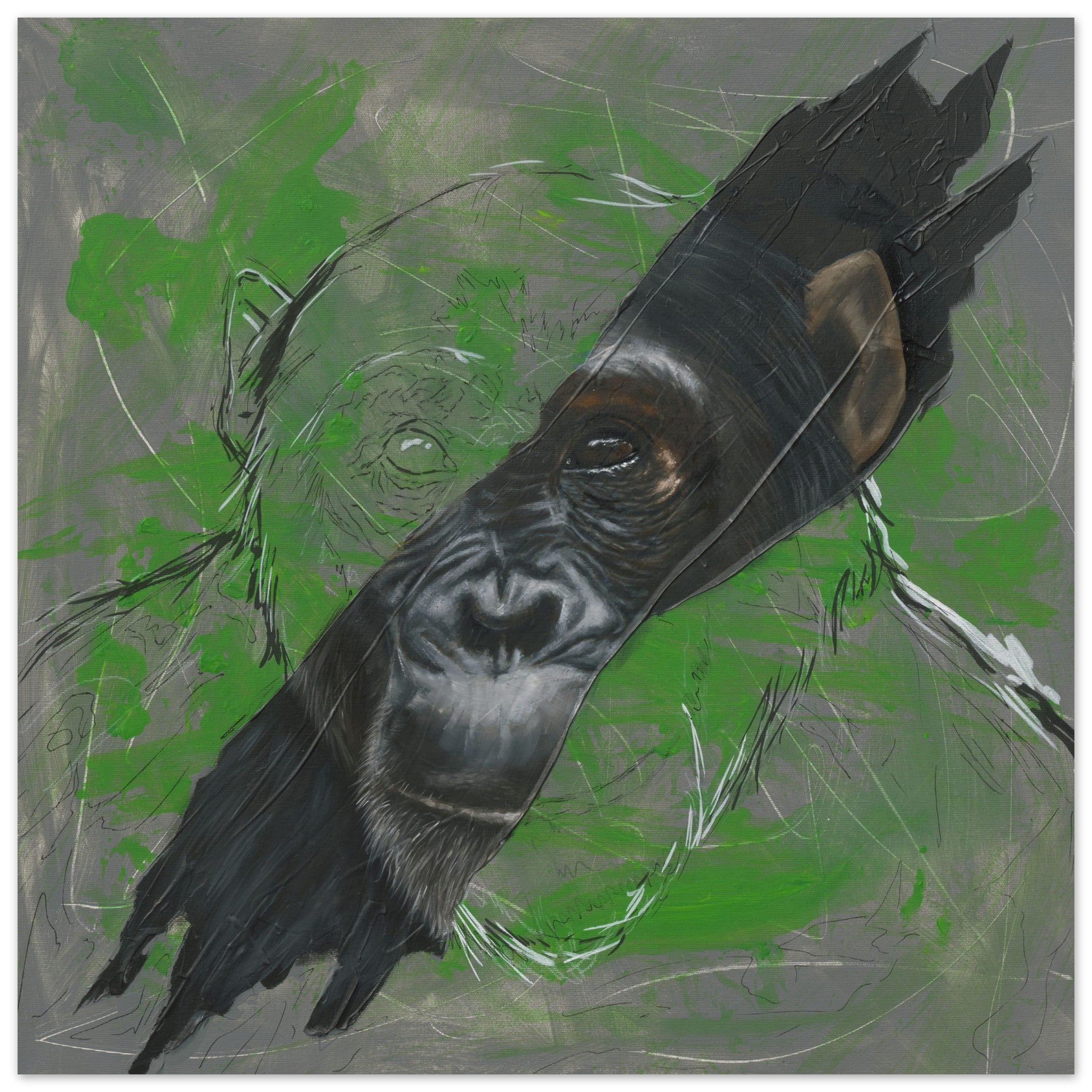 b3ba1369-53b3-435f-825b-ed390d9abe11